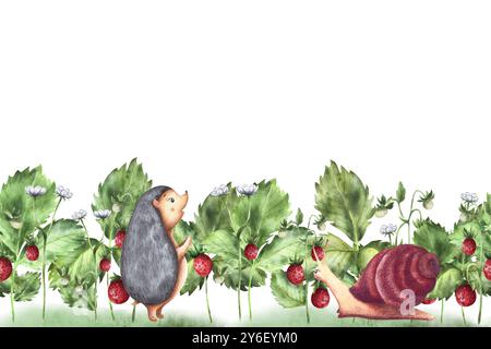 Erdbeersträucher mit Beeren, Blumen und Blättern auf weißem Hintergrund mit Tieren Igel und Schnecke. Nahtloses Muster, Banner, Aquarellfarben illustr Stockfoto