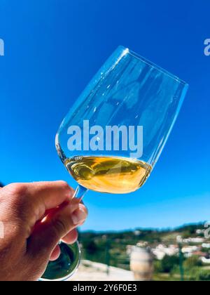 Nahaufnahme einer Hand, die ein Glas Weißwein vor einem klaren blauen Himmel hält, mit einem malerischen Weinberg im Hintergrund Stockfoto