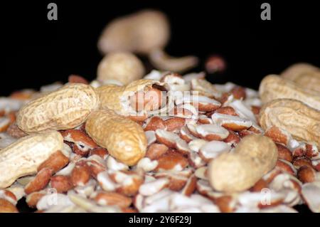 Nahaufnahme von Erdnüssen in ihren Muscheln und Erdnüssen auf schwarzem Hintergrund. Stockfoto