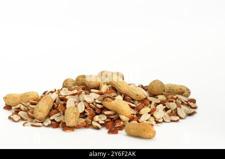 Ein Haufen Erdnüsse in Muscheln und Erdnüsse auf weißem Hintergrund. Stockfoto