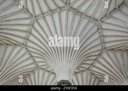 Tierceron gewölbte Decke im Kapitelhaus der Kathedrale von Wells. Somerset. England. Stockfoto