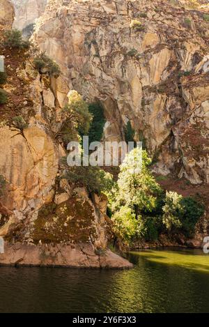 Blick von der Flussfahrt auf den oberen Douro-Fluss, von Miranda do Douro, Portugal Stockfoto