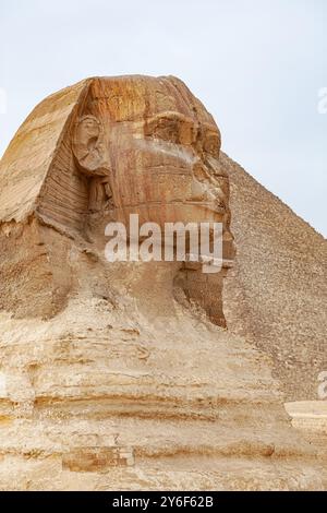 Sphinx von Gizeh Stockfoto