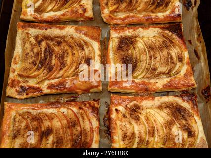 Frisch gebackene Apfelkuchen mit Zimt auf einem mit Pergament gefütterten Tablett. Goldbraune Kruste, von oben gesehen. Konzept hausgemachter Backwaren Stockfoto