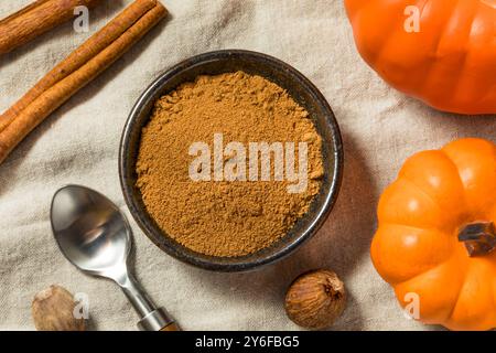 Bio Raw Herbstkürbis Gewürze für Kaffee und Pie Stockfoto
