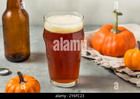 Erfrischendes Cold Pumpkin Craft Beer Ale in einem Pint Glass Stockfoto