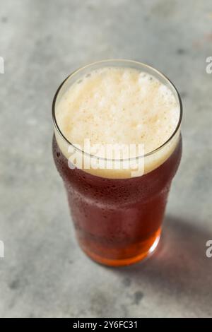 Erfrischendes Cold Pumpkin Craft Beer Ale in einem Pint Glass Stockfoto