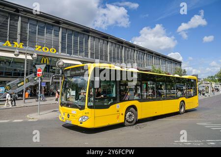 Bus 110, Bahnhof Zoo, Hardenbergplatz, Charlottenburg, Berlin, Deutschland *** Bus 110, Bahnhof Zoo, Hardenbergplatz, Charlottenburg, Berlin, Deutschland Stockfoto