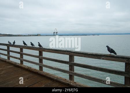 San Francisco, CA, USA - September 2024 - Candlestick Bay Area mit dem alten Kai, der Bucht und dem Verderben Stockfoto