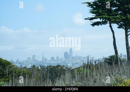 San Francisco, CA, USA, September 2024 - Blick vom Süden des Finanzviertels Stockfoto