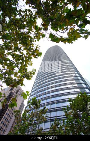 San Francisco, CA, USA - 16. September 2024 - das Salesforce Tower-Gebäude und der Hauptsitz von Salesforce.com Stockfoto