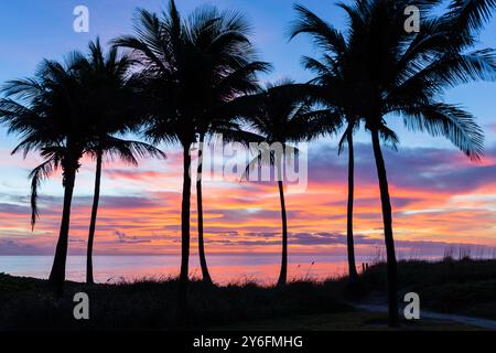 Farbenfroher tropischer Sonnenaufgang über Deerfield Beach, Florida, mit Palmen, die sich vor lebhaften Wolken tummeln Stockfoto