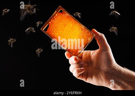 Hand halten Bienenwabe nah oben umgeben von fliegenden Bienen auf dunklem Hintergrund, Imkerei Konzept, Imker sammelt Honig Stockfoto