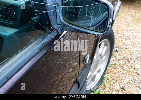 Ein Spinnennetz, hervorgehoben durch einen morgendlichen Winterfrost auf dem Außenspiegel eines Autos, an drei Punkten aufgehängt und wartet. Stockfoto