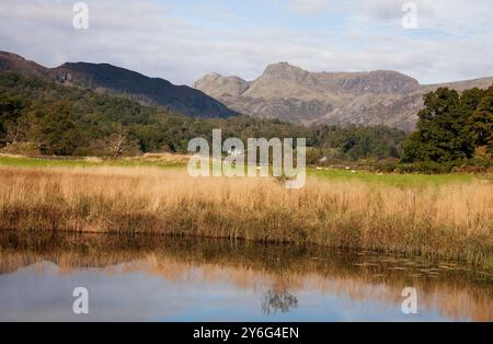 Langdale Pikes spiegelte sich in Elter Water, Cumbria, Großbritannien, wider Stockfoto