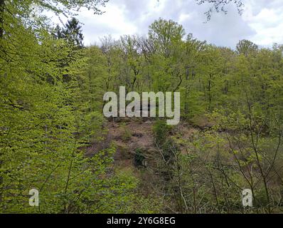 Little Switzerland - Müllerthal (Luxemburg) Stockfoto