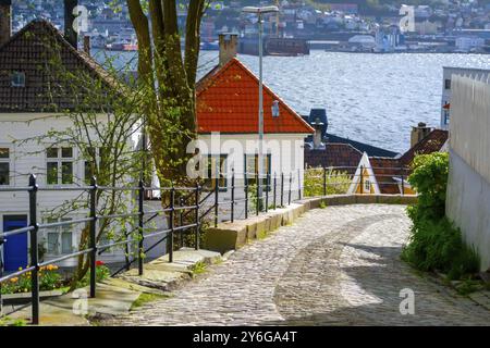 Bergen, Norwegen, Mai 2015: Gemütliche Kopfsteinpflasterstraße im historischen Zentrum von Bergen, Norwegen, Europa Stockfoto