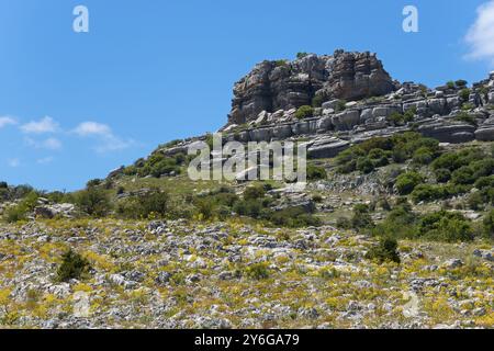 Felsige hügelige Landschaft an einem sonnigen Tag mit blauem Himmel und grüner Vegetation, Karstgebirge, Torcal Alto, El Torcal de Antequera, Sierra del Torcal, Mala Stockfoto