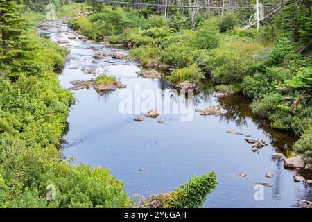 Creek durch die verlassene baufällige Betonbrücke in Cape Broyle, Neufundland & Labrador, Kanada Stockfoto