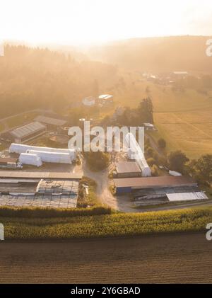 Luftaufnahme einer ausgedehnten ländlichen Szene mit Bauernhof und Feldern, Gechingen, Schwarzwald, Deutschland, Europa Stockfoto