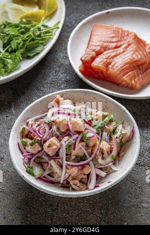 Essen, Essen, CHILENISCHER LACHS CEVICHE. Frischer roher Lachs mariniert mit violetten Zwiebeln, Koriander in Zitronensaft. Sebiche und Ingredientes auf grauem Hintergrund Stockfoto