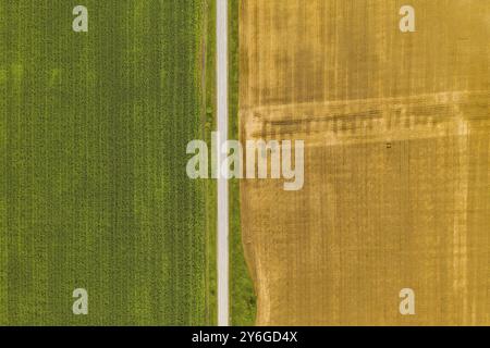 Antenne Top View drone Fotografie von einem Land mit grünen Felder gesät in der Landschaft Stockfoto