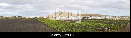 Weitwinkelpanorama und Landschaftsblick über das Dorf Teguise auf Lanzarote, mit landwirtschaftlichen Feldern im Vordergrund Stockfoto