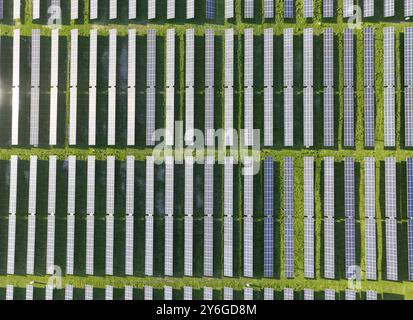 Sonnenkollektoren auf dem Feld im Sommer, Drohnenansicht aus der Luft Stockfoto