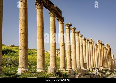 Säulen der Colonnaded Street an der römischen historischen Stätte Gerasa, Jerash, Jordanien. Reisen und Tourismus in Jordanien Stockfoto