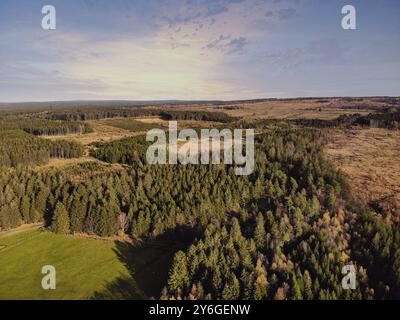 Luftdrohne aus der Sicht des Naturreservats High Fens hohes Venn Hautes Fagnes Hoge Venen in Belgien. Schönheit in der Natur Stockfoto