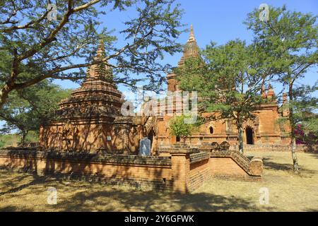 Tempel zwischen Bäumen in Bagan, Myanmar (Birma) Stockfoto