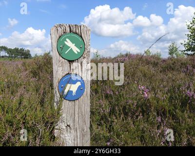 Kalmthout, Belgien, August 2021: Nahaufnahme eines Wanderpfades mit Wegsymbolen im Naturpark Kalmthout Heide in Belgien, Europa Stockfoto