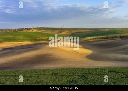 Blick aus der Vogelperspektive auf die wunderschönen grünen welligen Hügel mit landwirtschaftlichen Feldern im Frühling. Region Südmähren, Tschechische Republik, Europa Stockfoto