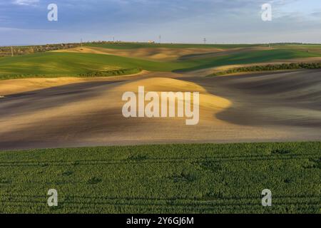 Blick aus der Vogelperspektive auf die wunderschönen grünen welligen Hügel mit landwirtschaftlichen Feldern im Frühling. Region Südmähren, Tschechische Republik, Europa Stockfoto