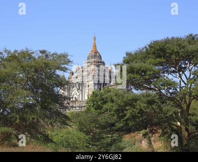 Dass Byin Nyu Tempel in Bagan, Myanmar (Birma) Stockfoto