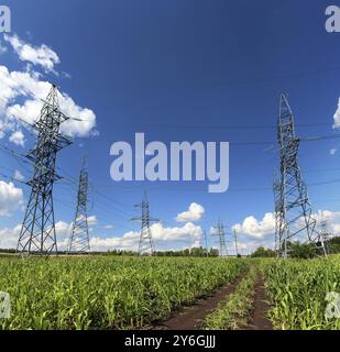 Landschaft mit Elektromasten und Straße im grünen Feld Stockfoto