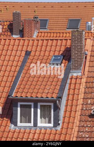 Rötliches Dach mit Dachziegeln und Oberlichtern im historischen Stadtzentrum Hildesheim, Niedersachsen, Deutschland, Europa Stockfoto