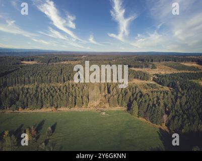 Luftlinie von Kiefernwald und Wiese und Weide in den Ardennen, Belgien. Schönheit in der Natur Stockfoto