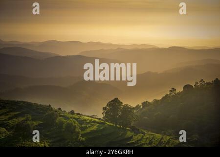 Blick auf das Tal bei Sonnenuntergang mit Terrassenfeldern der Serra de Monchique in der Nähe des Berges Foia in der Algarve in Portugal. Schönheit in der Natur Stockfoto