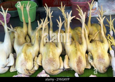 Rohe Hühner auf dem Markt in thailand Stockfoto