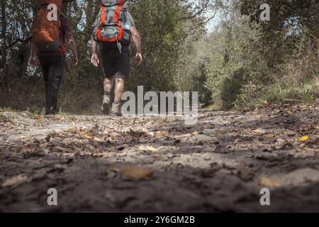 Sobrado dos Monxes, Spanien, 9. September 2023: Zwei nicht erkennbare männliche Wanderer, die den Camino de Compostla oder den Weg durch die Wälder Galici wandern Stockfoto