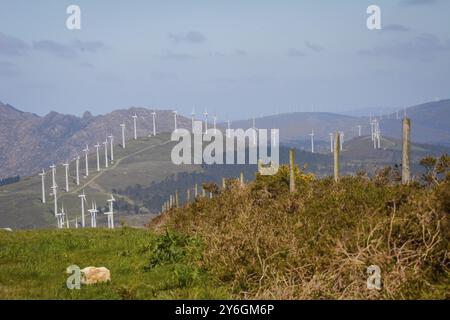 Landschaft mit aufgereihten Windturbinen eines Windparks auf einer Bergplattform. Nachhaltige Energie Stockfoto