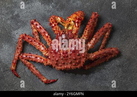 Essen, Essen, Rote Königskrabbe auf grauem Hintergrund. King Crab, Zitrone und Koriander, Blick von oben Stockfoto