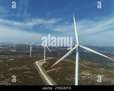 Luftaufnahme von vielen Windmühlen oder Windkraftanlagen auf Windpark in Rotation, um Strom zu erzeugen Stockfoto