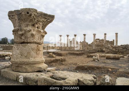 Pafos, Zypern, archäologische Stätte: Haus der Theseus Säulen, Europa Stockfoto