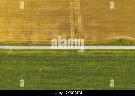 Antenne Top View drone Fotografie von einem Land mit grünen Felder gesät in der Landschaft Stockfoto