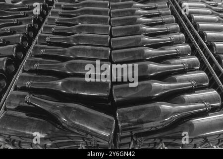 Viele schwarze Flaschen für Sekt, gestapelt in einem Weingut Stockfoto