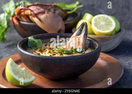 Essen, Essen, CHILENISCHES ESSEN. Gebackenes Krabbenfleisch mit Käse, Sahne und Brot. Traditionelles Gericht der chilenischen Küste. Pastell o chupe de Jaiba Stockfoto