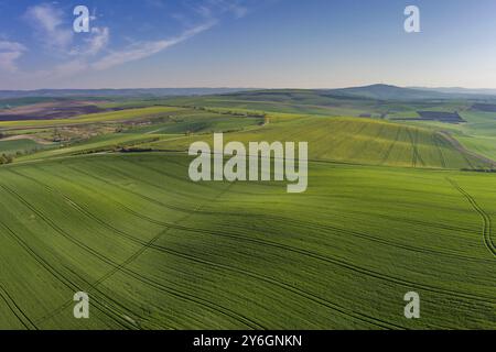 Blick aus der Vogelperspektive auf die wunderschönen grünen welligen Hügel mit landwirtschaftlichen Feldern im Frühling. Region Südmähren, Tschechische Republik, Europa Stockfoto