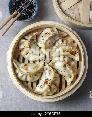 Essen, Essen, Gyoza Japanische koreanische Klöße auf grauem Teller auf dem Tisch. Top-Ansicht Stockfoto